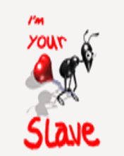 pic for Im Your Slave